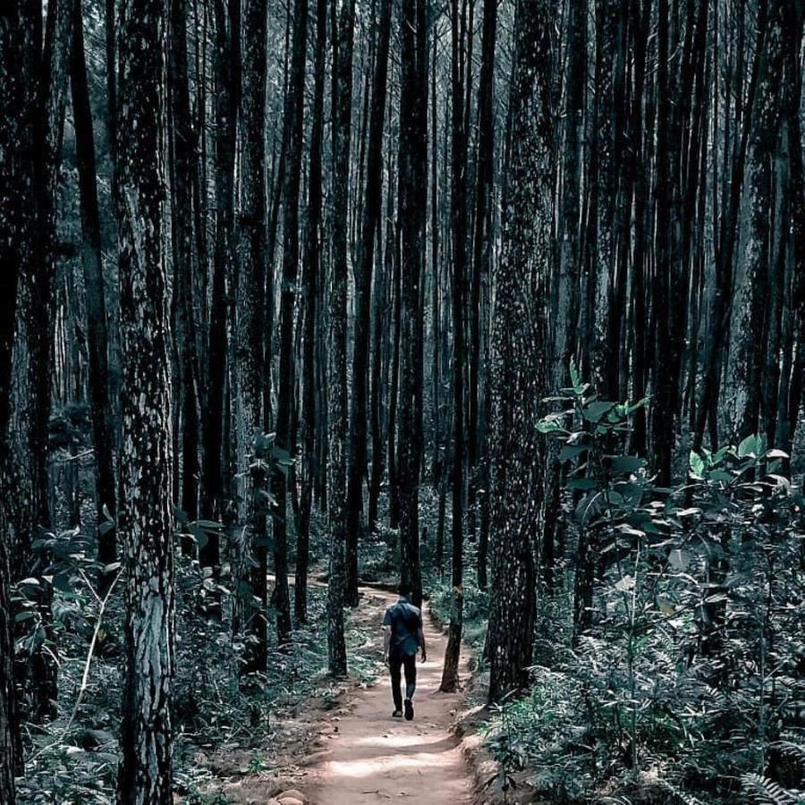 Seribu Batu Songgo Langit Resort & Camp Bantul Luaran gambar