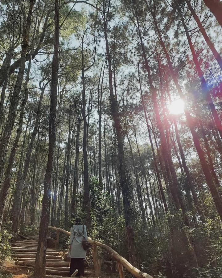 Seribu Batu Songgo Langit Resort & Camp Bantul Luaran gambar